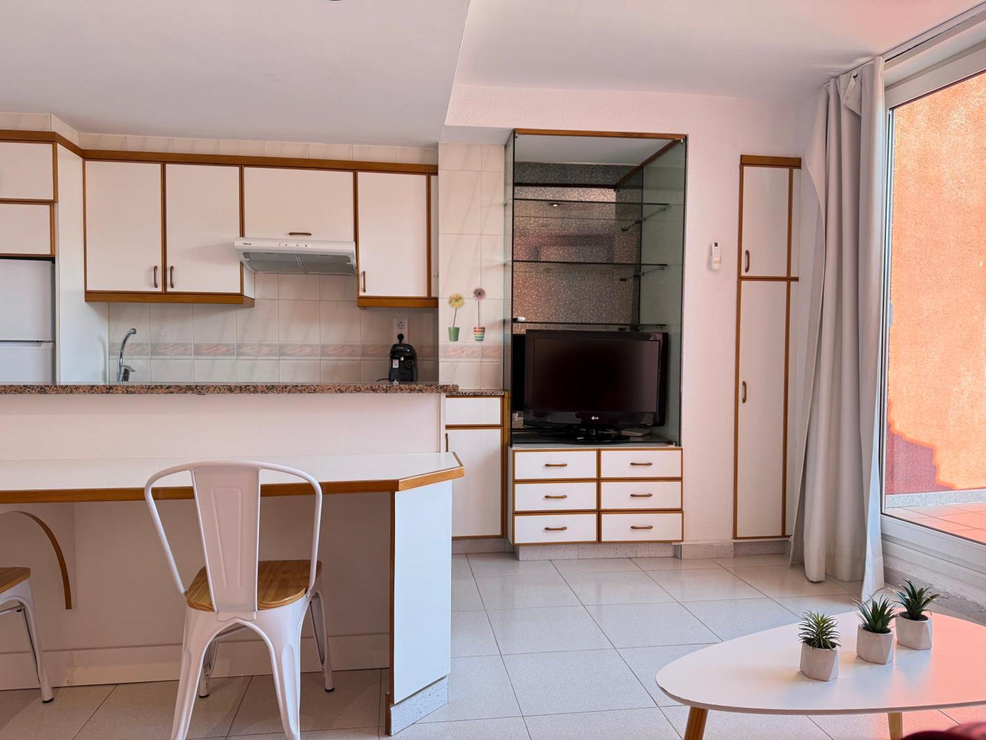 Agi Pi Sunyer Apartment Roses